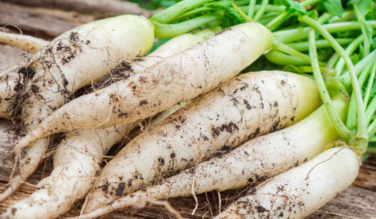 Không nên ăn củ cải trắng khi đói, vì có thể gây kích ứng dạ dày và làm tăng acid dạ dày