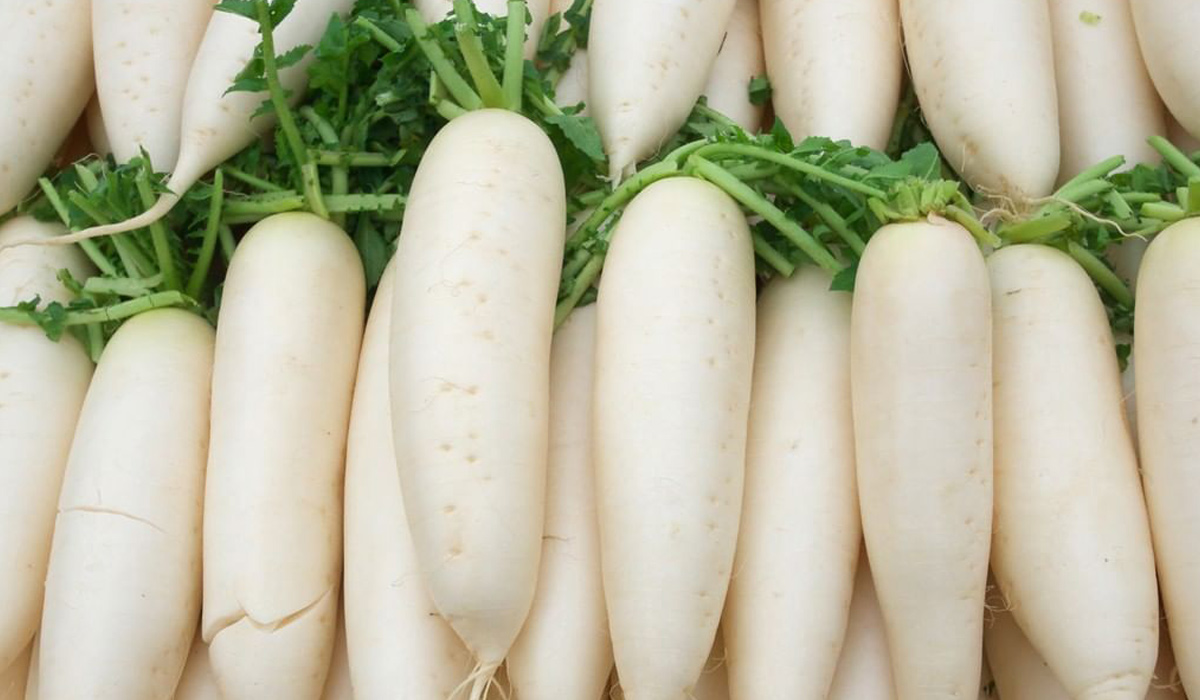 Củ cải trắng giúp hỗ trợ tiêu hoá, tăng miễn dịch cho cơ thể
