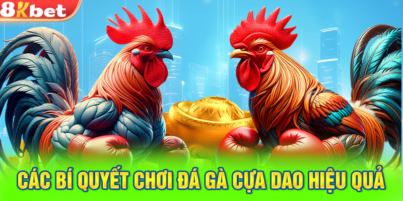 Các bí quyết chơi đá gà cựa dao hiệu quả