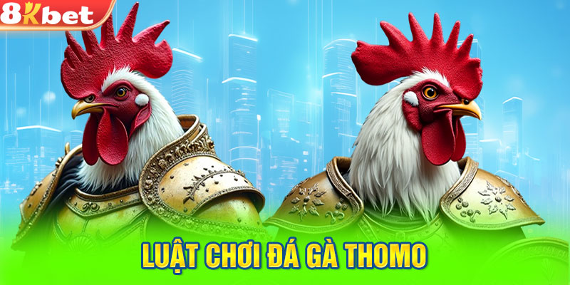 Luật chơi đá gà thomo